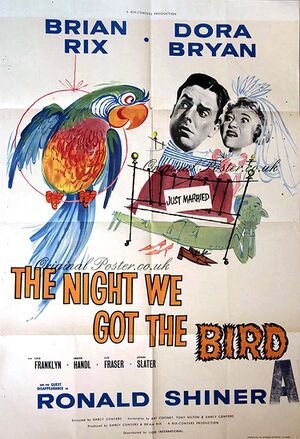 The Night We Got the Bird.jpg