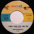 The Flamingos - I Only Have Eyes for You.jpg