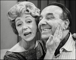 Meet the Wife (TV series).jpg